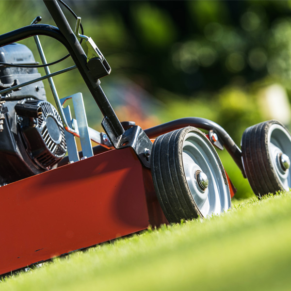 How to Get a Jump-Start on Lawn Care in Late Winter